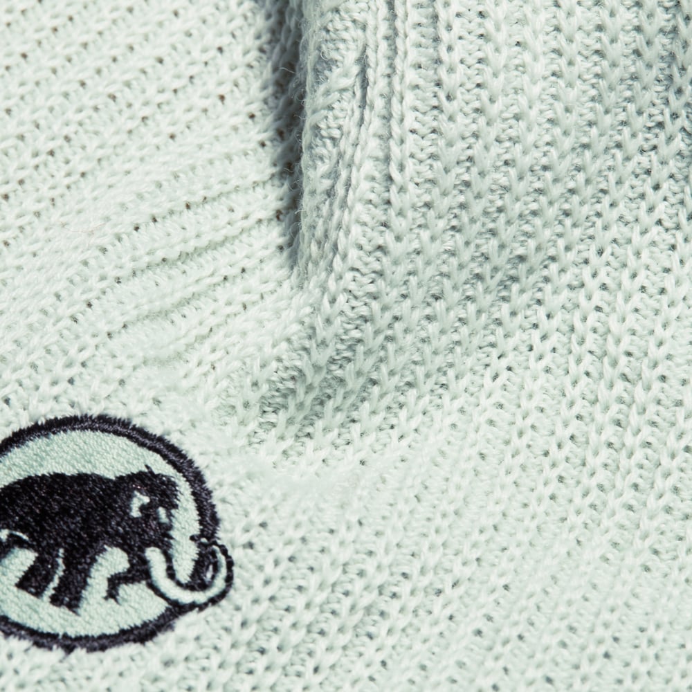 Sublime Beanie